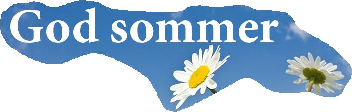 Sommerbridge i Hørning Bridge Klub